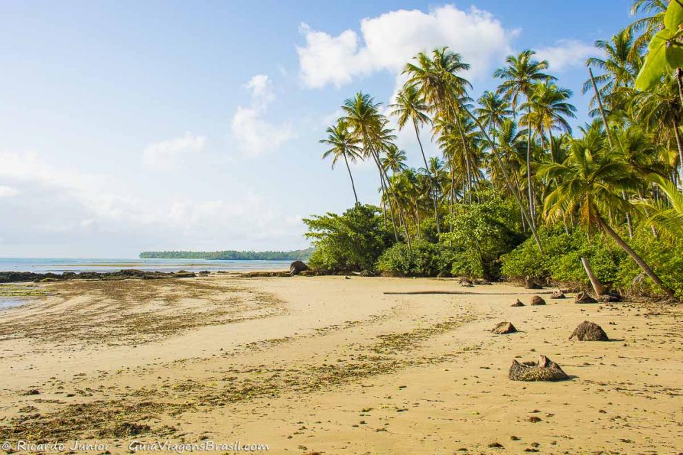 Imagem da paradisíaca Praia de Tassimirim na Ilha de Boipeba.